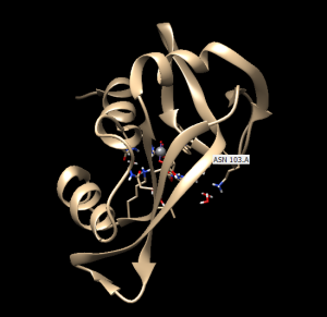 proteine